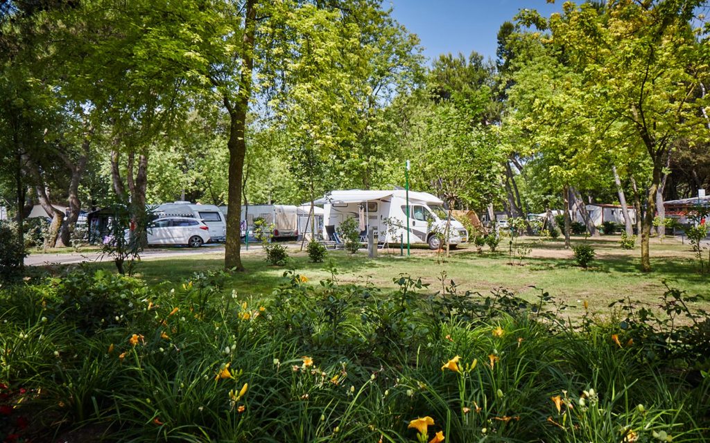 Happy Camping Autumn